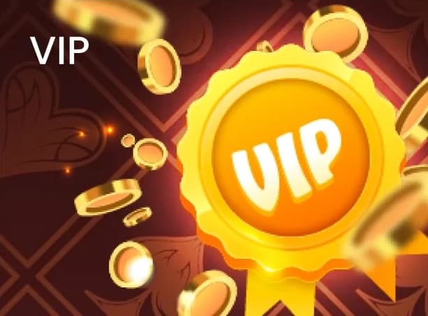 VIP banner